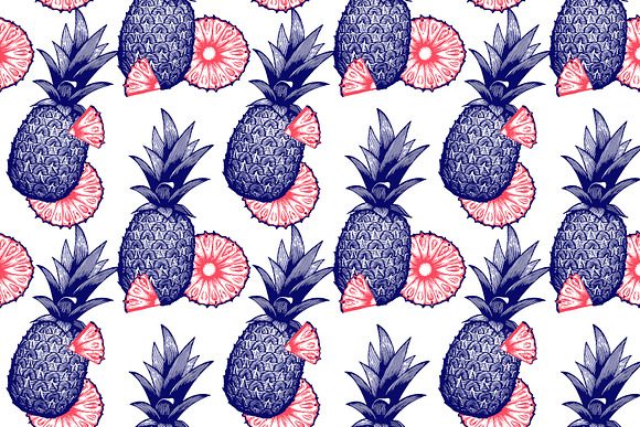 American Pineapple in Illustrations - product preview 3