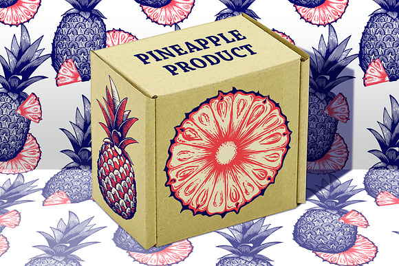 American Pineapple in Illustrations - product preview 4