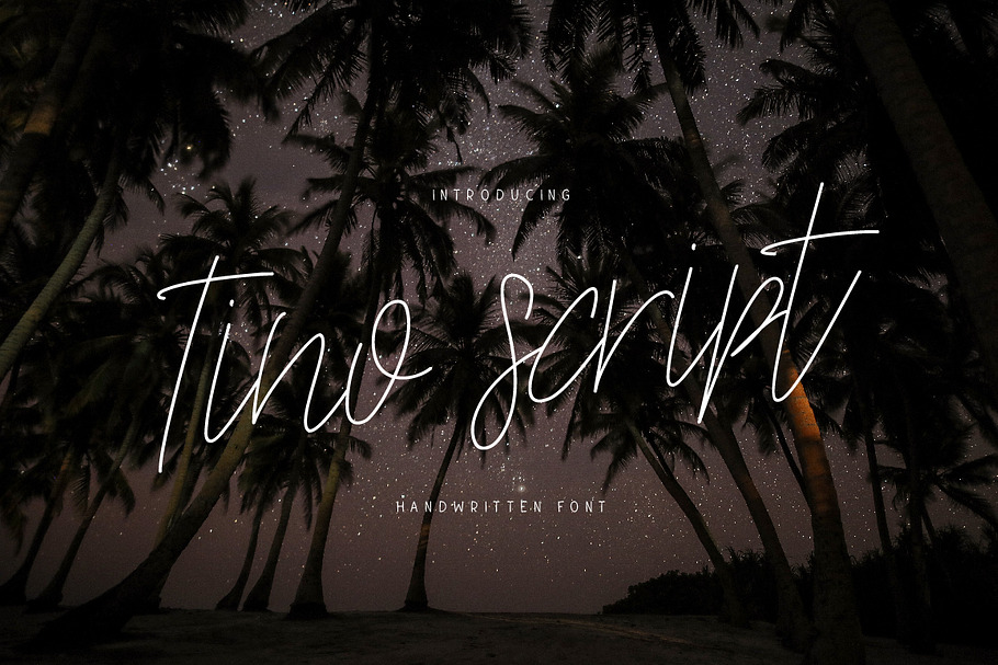 Tino Script in Script Fonts - product preview 8