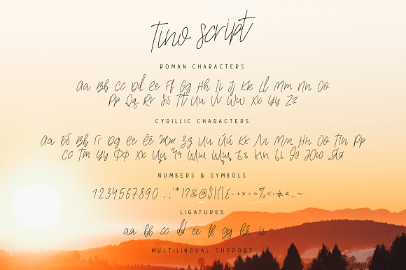 Tino Script in Script Fonts - product preview 4