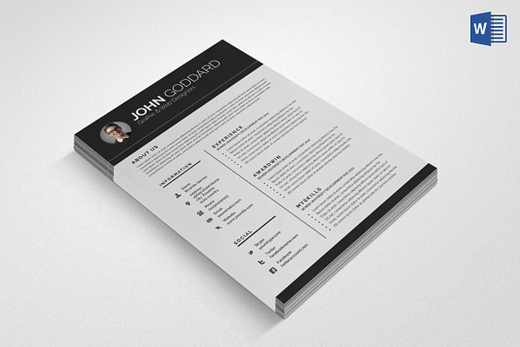Professional Resume/CV in Resume Templates - product preview 1