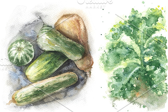 Natural Product Watercolor  in Illustrations - product preview 5