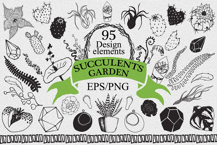 Succulents garden design elements in Illustrations - product preview 8