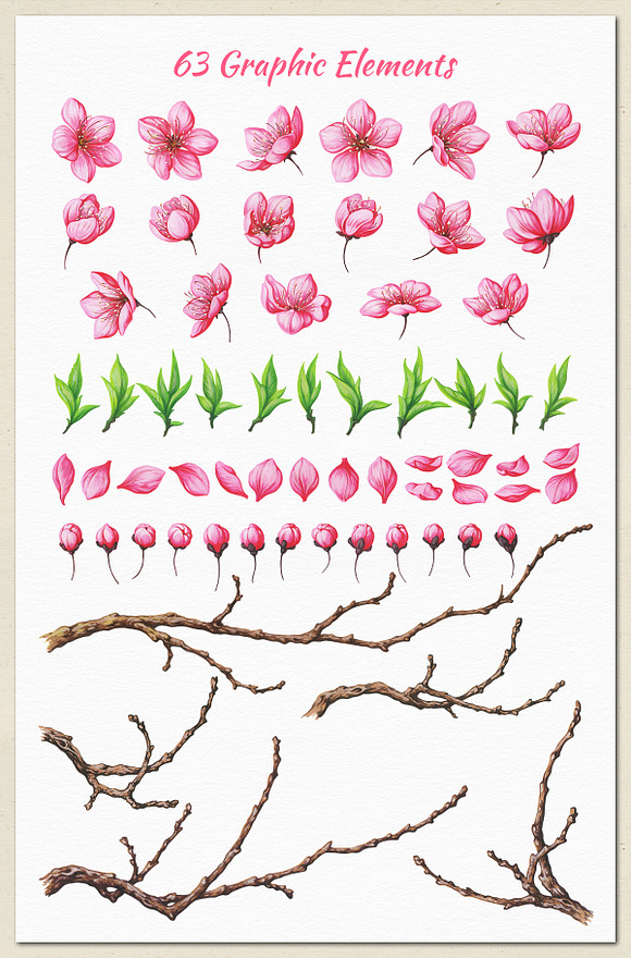 Cherry Blossom. Hand Painted Set in Illustrations - product preview 6