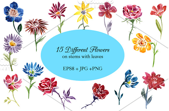 Watercolor flowers set in Illustrations - product preview 1