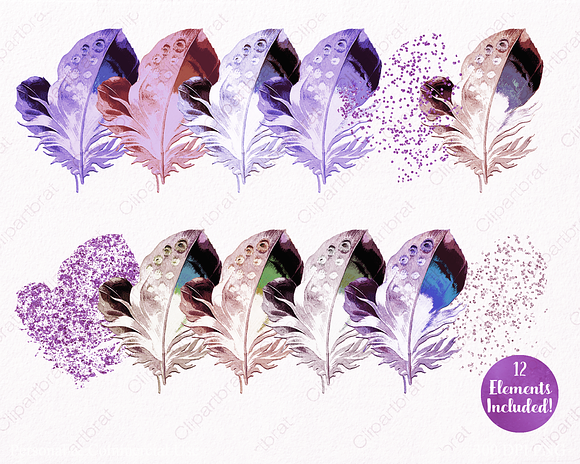 Watercolor Purple Feather Clipart in Illustrations - product preview 1