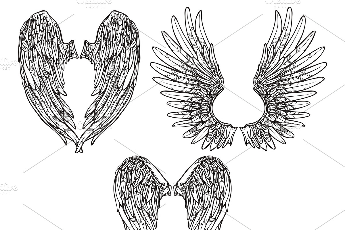 Wings abstract sketch set in Illustrations - product preview 8