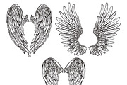 Wings abstract sketch set