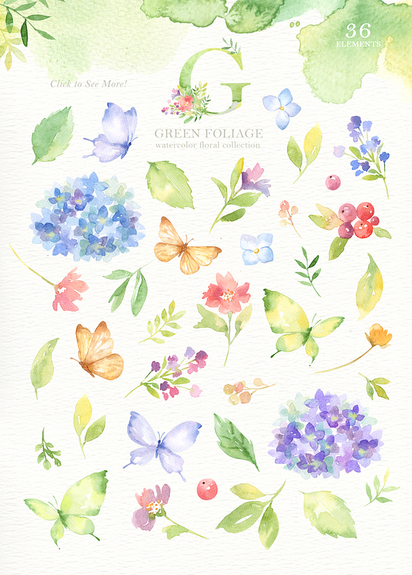 Green Foliage Watercolor Cliparts in Illustrations - product preview 1