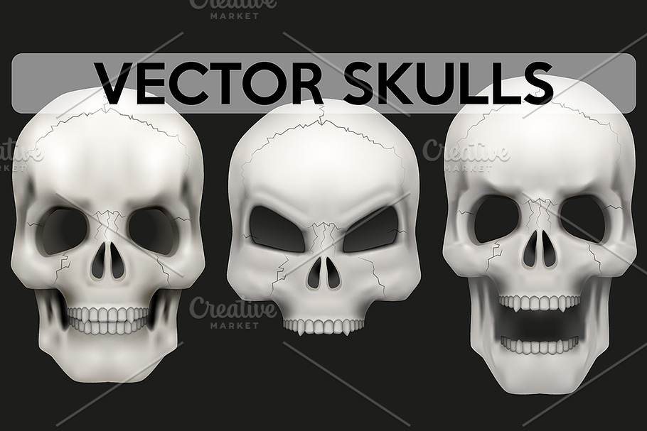 Vector set of 3 Human skulls in Illustrations - product preview 8