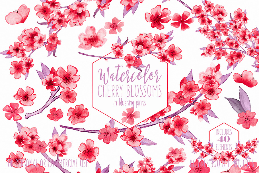 Blush Pink Watercolor Cherry Blossom in Illustrations - product preview 8