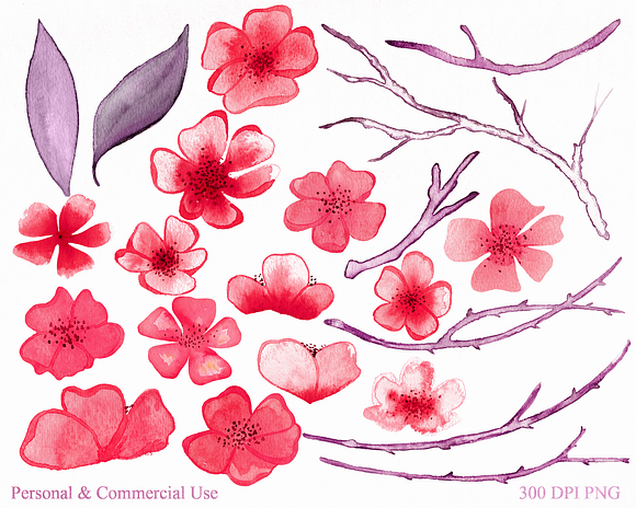 Blush Pink Watercolor Cherry Blossom in Illustrations - product preview 1