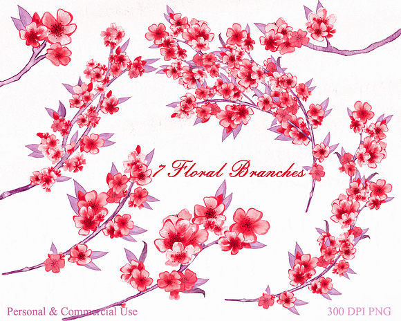 Blush Pink Watercolor Cherry Blossom in Illustrations - product preview 3