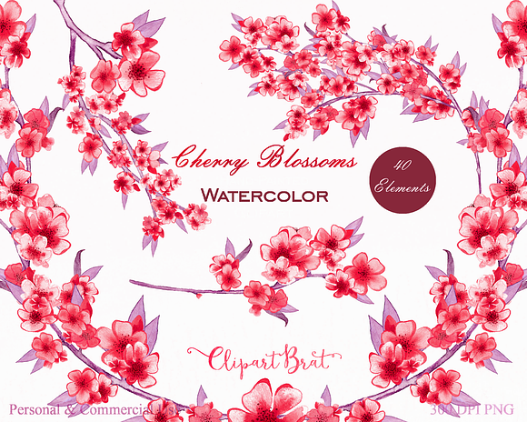 Blush Pink Watercolor Cherry Blossom in Illustrations - product preview 5