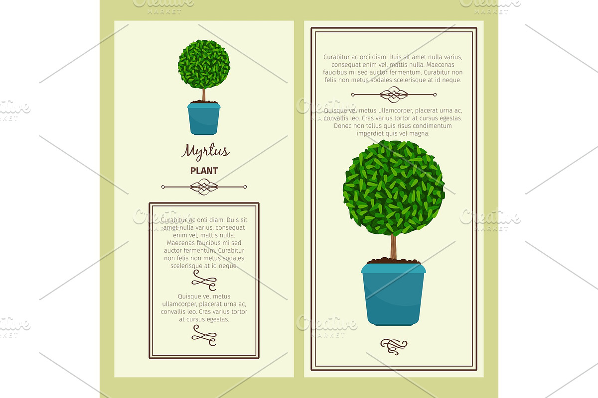 Greeting card with myrtus plant in Illustrations - product preview 8