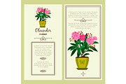 Oleander flower in pot banners