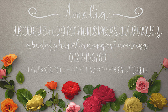 Amelia in Script Fonts - product preview 3