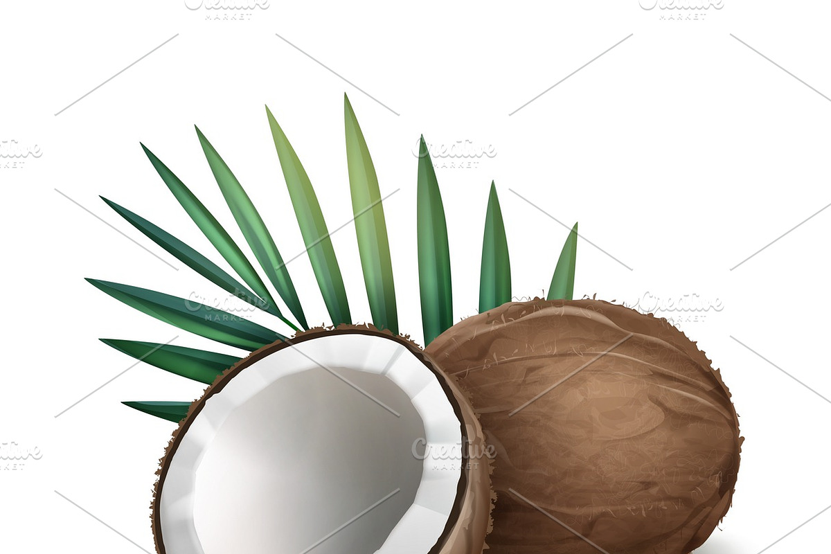 Whole and half coconut in Illustrations - product preview 8