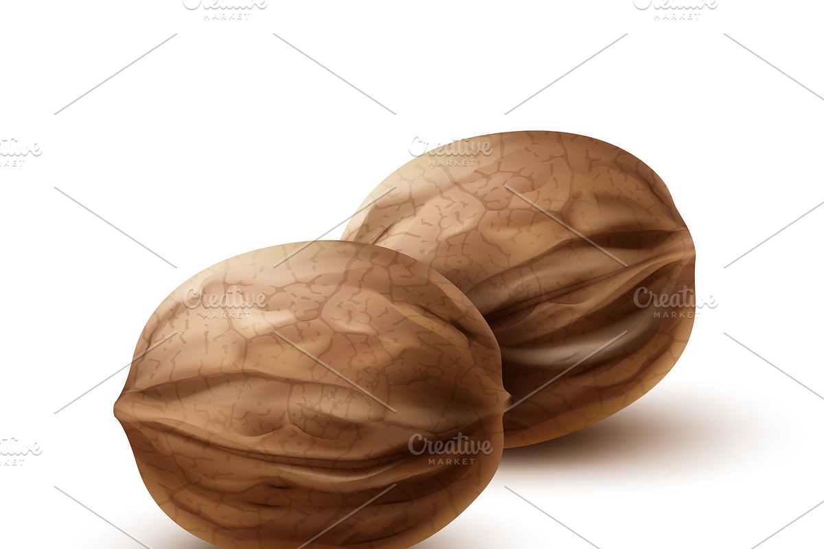 Two whole walnuts in Illustrations - product preview 8