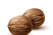 Two whole walnuts