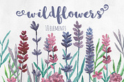 Watercolor wildflowers clip art