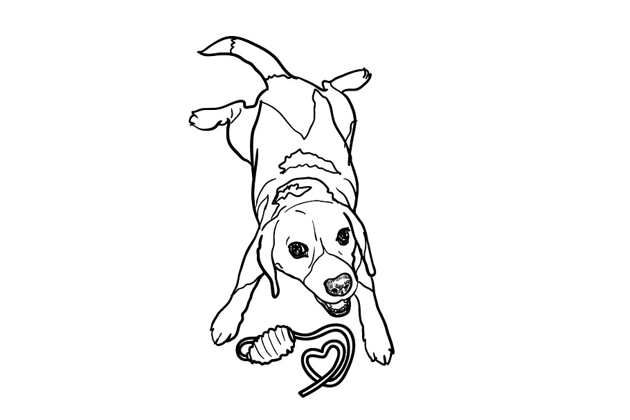 Adorable beagle cheerfully playing in Illustrations - product preview 8