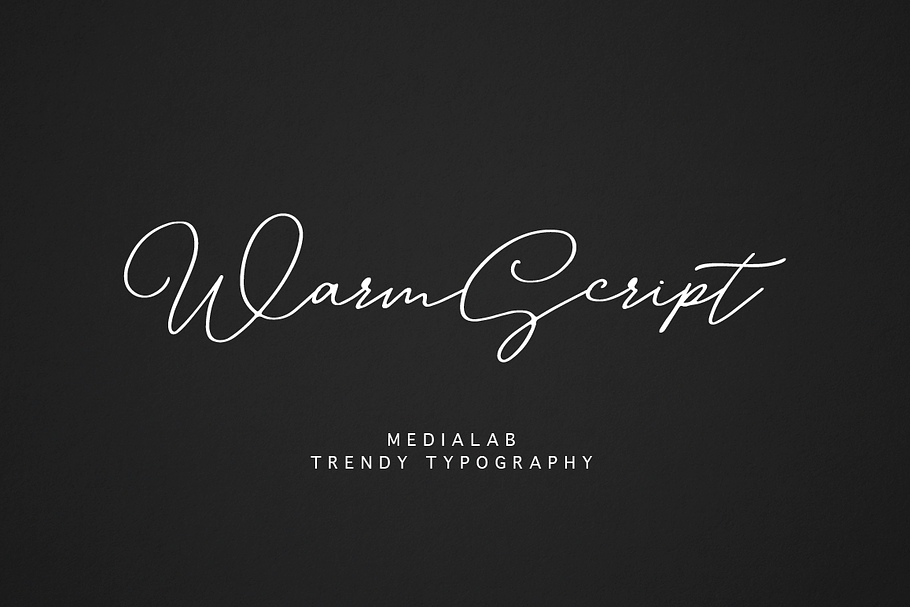 Warm Script in Script Fonts - product preview 8