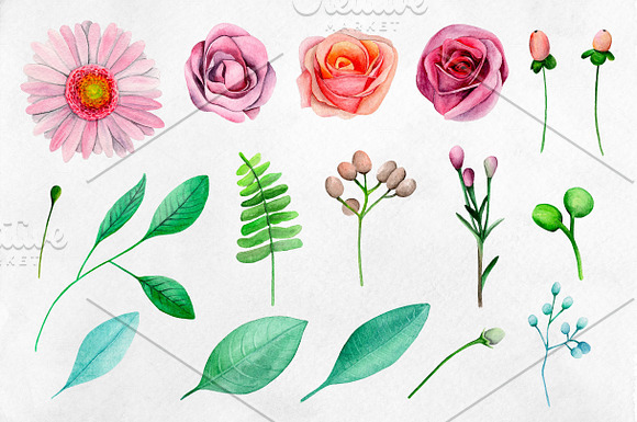 Watercolor garden flowers clip art in Illustrations - product preview 1