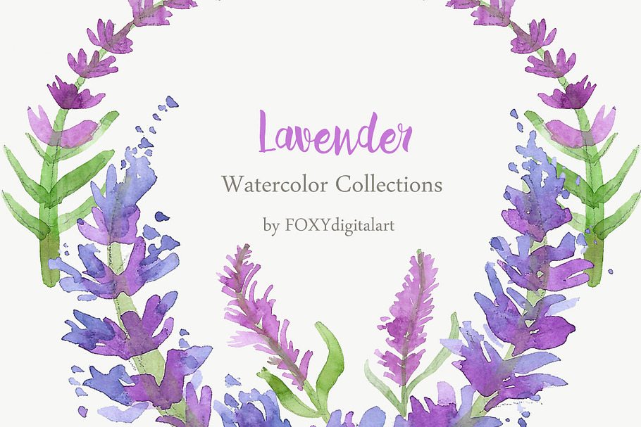 Watercolor Lavender Clipart 