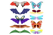 Fairy insect wings vector flying kids carnival costume winged bird bat and butterfly insects with wingspan for halloween party or Christmas isolated on a white background