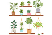 House indoor vector plants and nature homemade flowers in pot interior decoration houseplant natural tree flowerpot illustration seamless pattern background