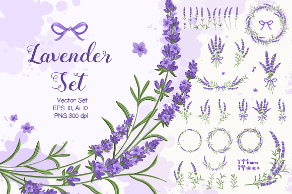 Lavender Set in Illustrations - product preview 4