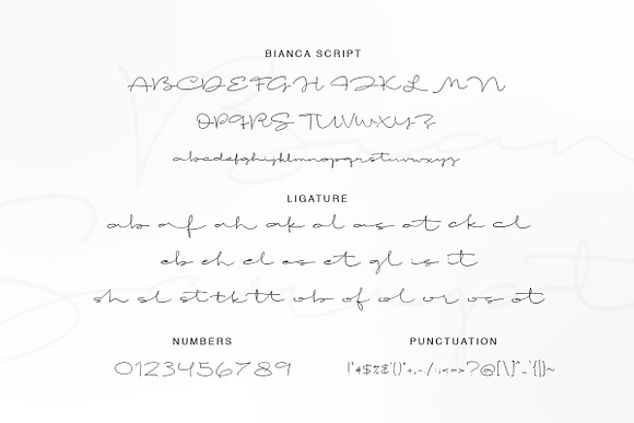Bianca in Script Fonts - product preview 6