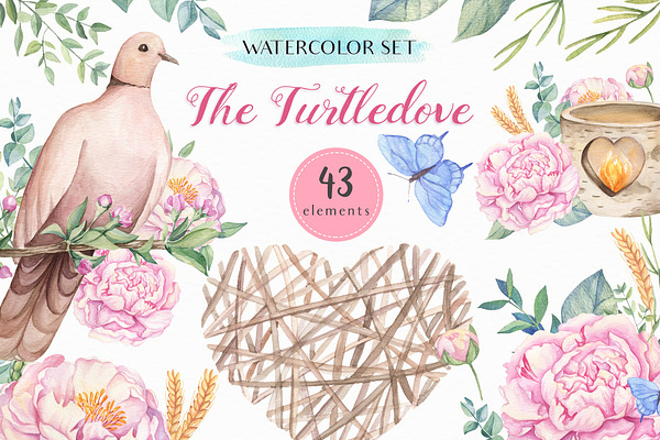 SALE! The Turtledove-Watercolor Set