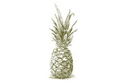 Woodcut Pineapple