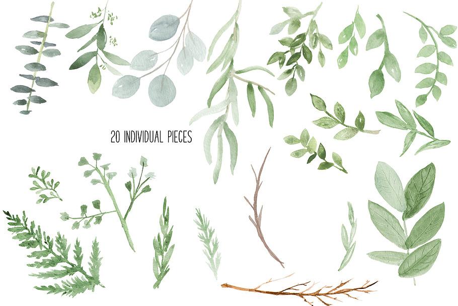Watercolor Eucalyptus & Greenery in Illustrations - product preview 8