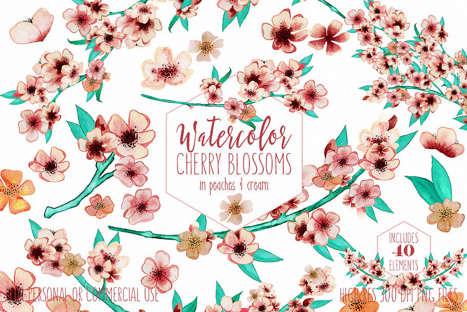 Cherry Blossoms in Peaches & Cream in Illustrations - product preview 8
