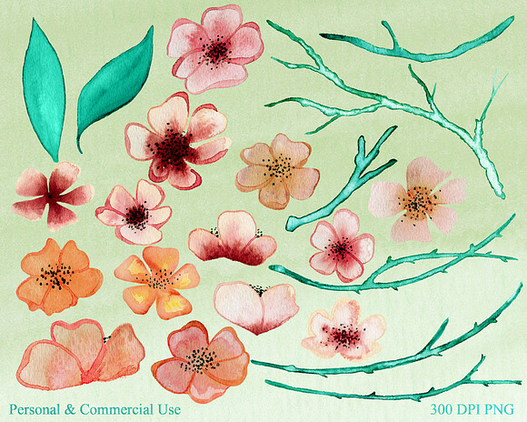 Cherry Blossoms in Peaches & Cream in Illustrations - product preview 1