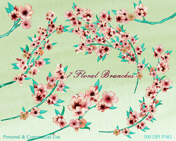Cherry Blossoms in Peaches & Cream in Illustrations - product preview 2