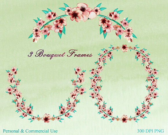 Cherry Blossoms in Peaches & Cream in Illustrations - product preview 3