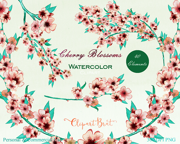 Cherry Blossoms in Peaches & Cream in Illustrations - product preview 5