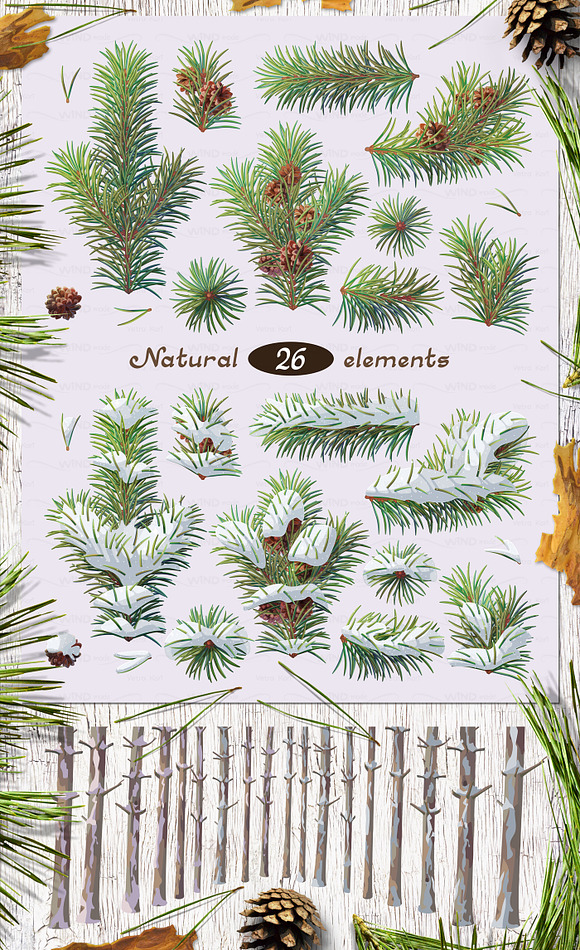 vector SET Winter Forest in Illustrations - product preview 1