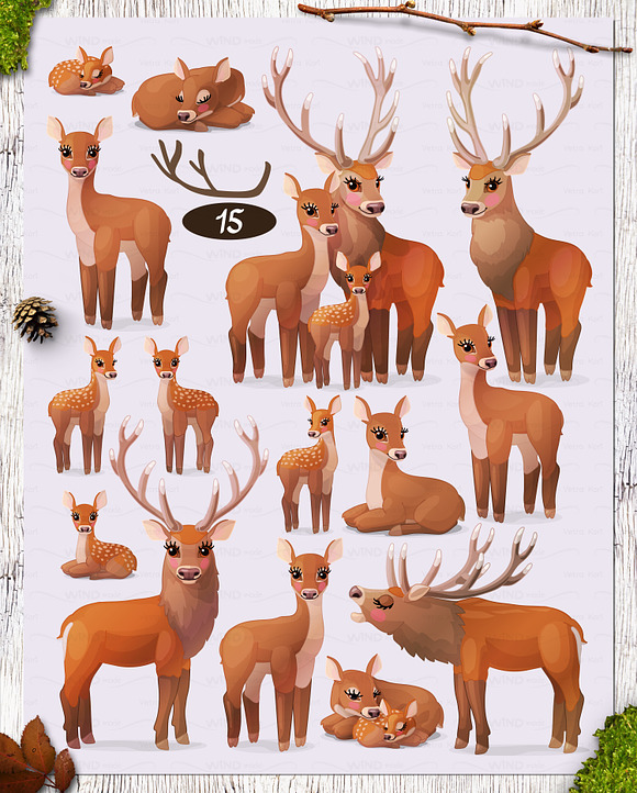 vector SET Winter Forest in Illustrations - product preview 6