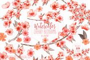 Watercolor Cherry Blossoms & Wreaths
