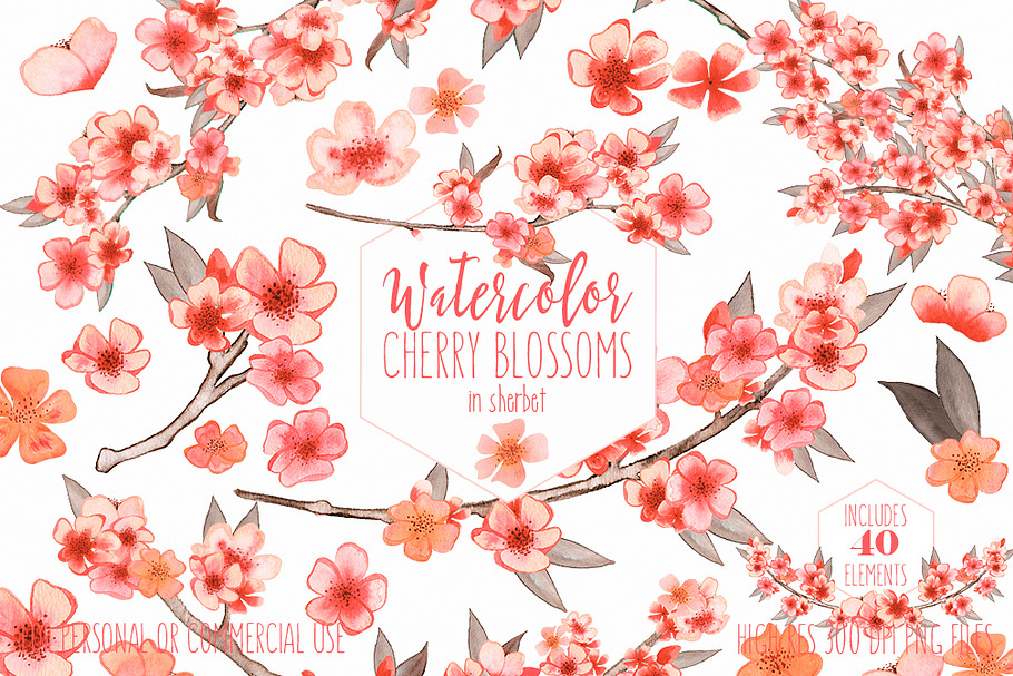 Watercolor Cherry Blossoms & Wreaths in Illustrations - product preview 8