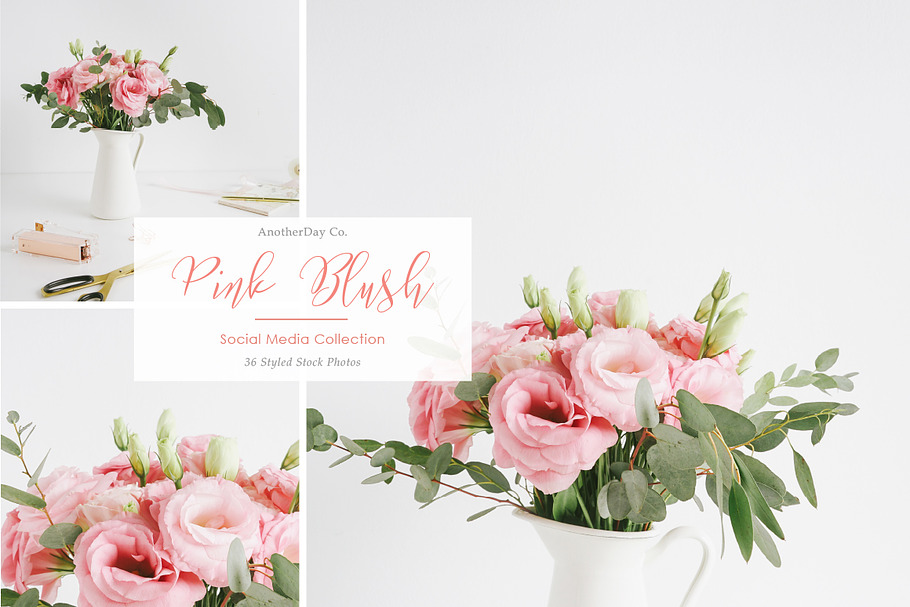 Pink Blush Flower Styled Stock Photo in Print Mockups - product preview 8