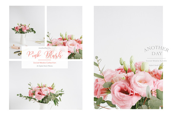 Pink Blush Flower Styled Stock Photo in Print Mockups - product preview 1