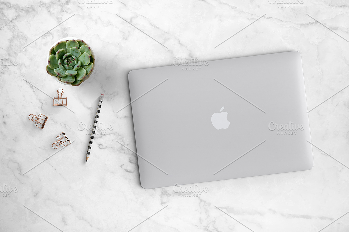 Succulent with Laptop Scene 26-0020 in Mobile & Web Mockups - product preview 8