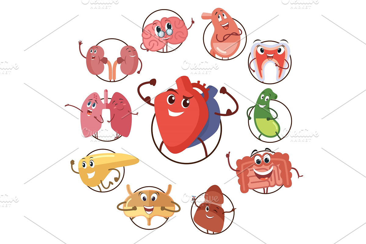 Funny medical icons of organs, heart, lungs, stomach. Set of round avatars cartoon characters of internal organs. Vector illustrations in Graphics - product preview 8