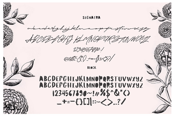 Maldina Feminime (4 fonts) in Script Fonts - product preview 5